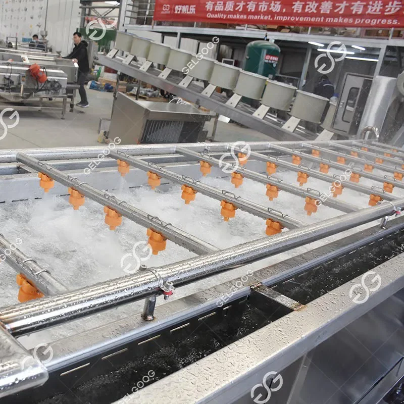 Gelgoog ถั่วชิกพีอัตโนมัติถั่วเหลืองเมล็ดกาแฟถั่วเหลืองซักผ้าและสายอบแห้งเครื่องทําความสะอาดถั่วงอกถั่วเขียว