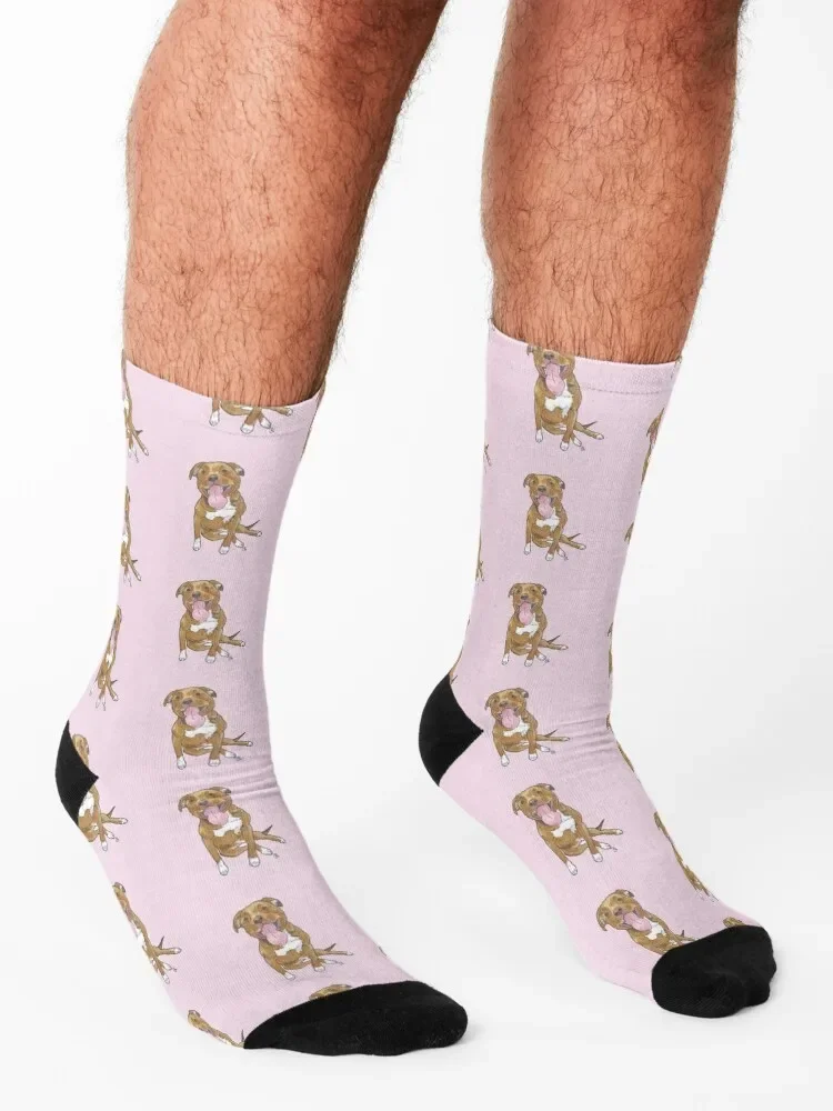 Pitbull Terrier Mix Socks para homens e mulheres, antiderrapante, floral, futebol, crossfit, masculino