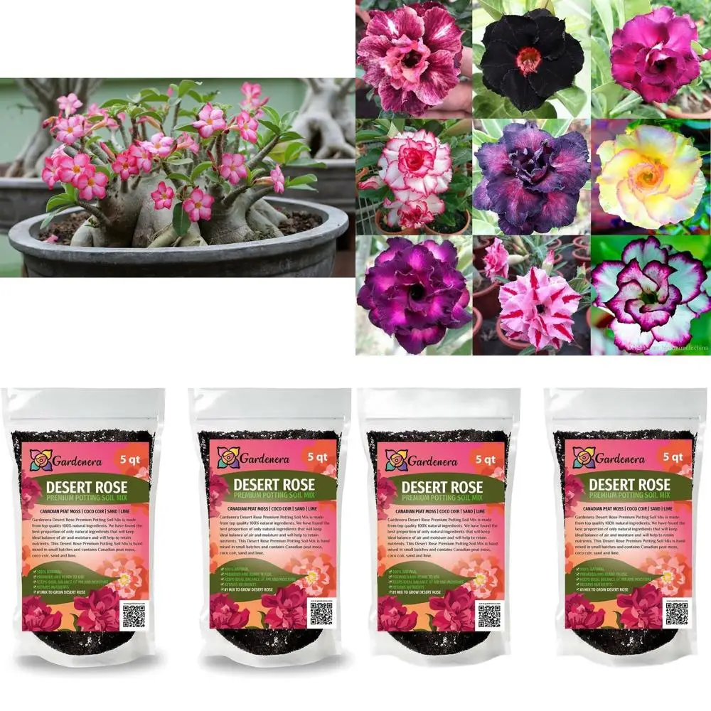 

Высококачественная грунтосмесь для пустынной розы для яркого роста и цветения - 10 кварт