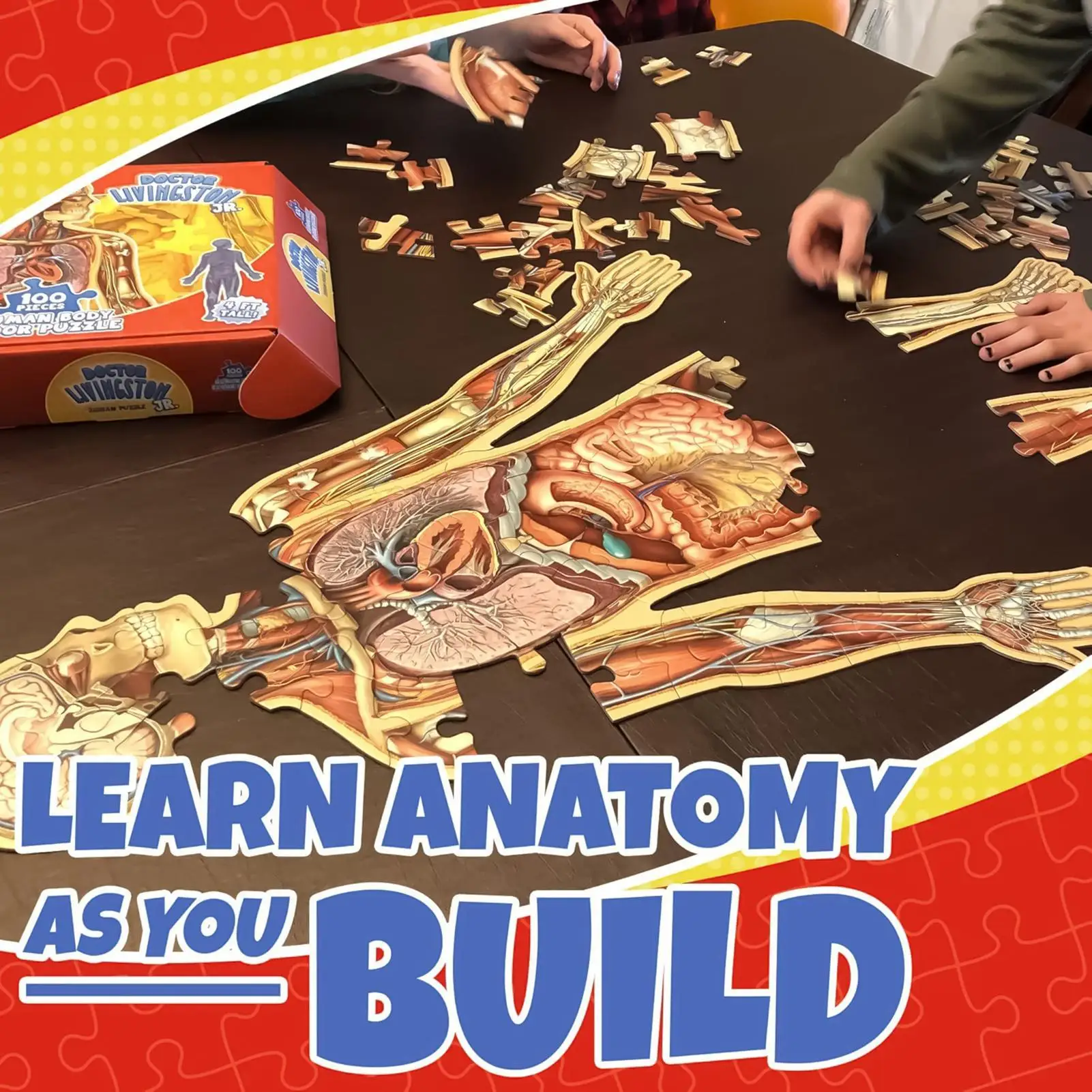 100 Pieces Human Anatomy Puzzle Educational Jigsaw Brain Teaser Toy for Boys Girls Students Homeschool Classroom Learning