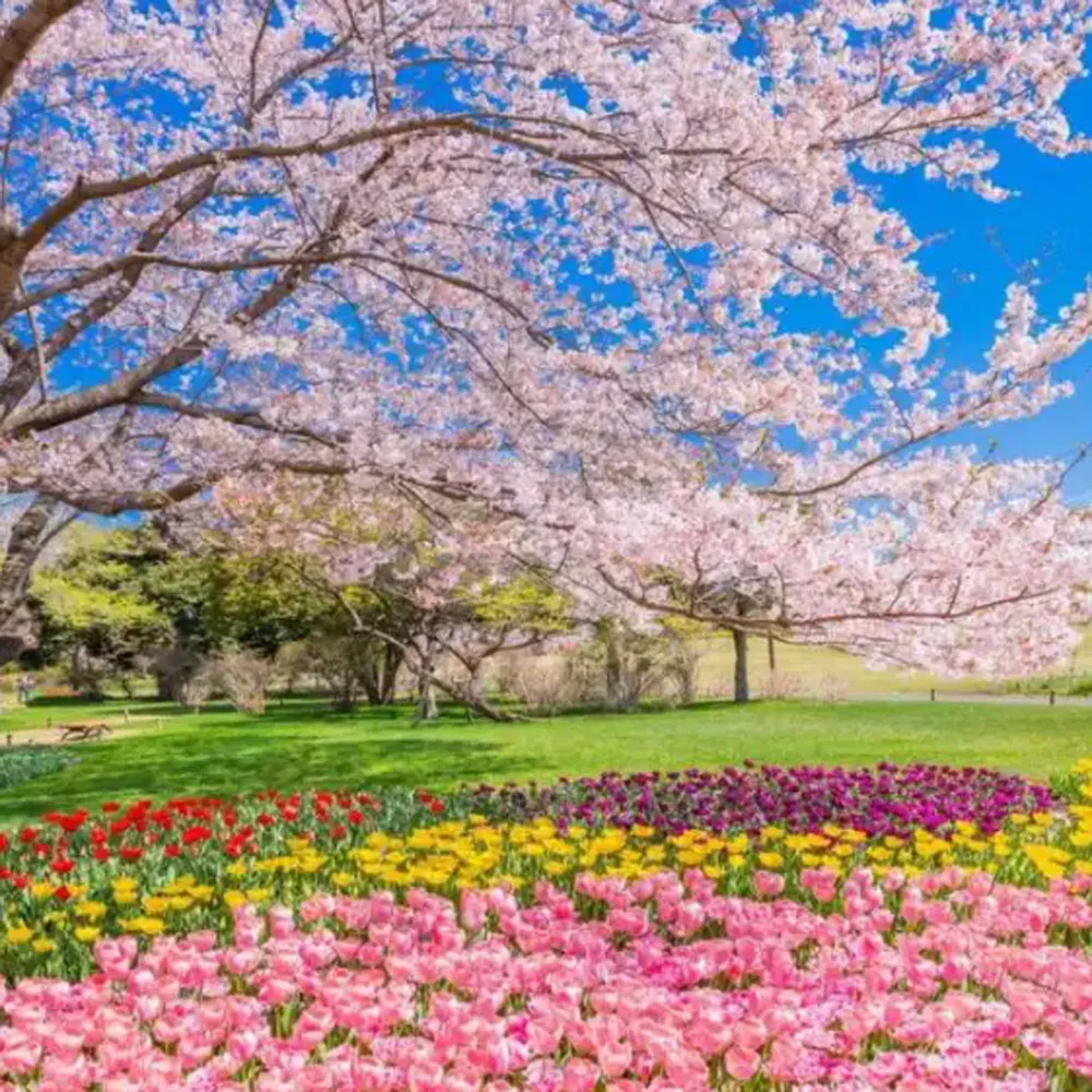 

Original F6200 Printer Suction fan for Epson SCF6070 F7070 F7200 F7270 F6000 F6200 F9200 F9270 T3200 T3270 T5270 T7270 T7200 fun