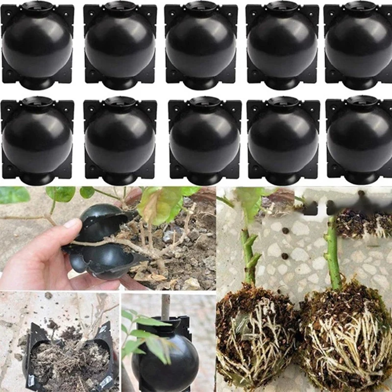 

10Pcs Reusable Plant Rooting Equipment Kit Cutting Grafting Rooting Box Branch Rooting Propagator Breeding Ball