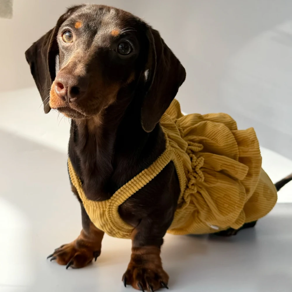 Vestido elástico transpirable de verano para perros pequeños salchicha