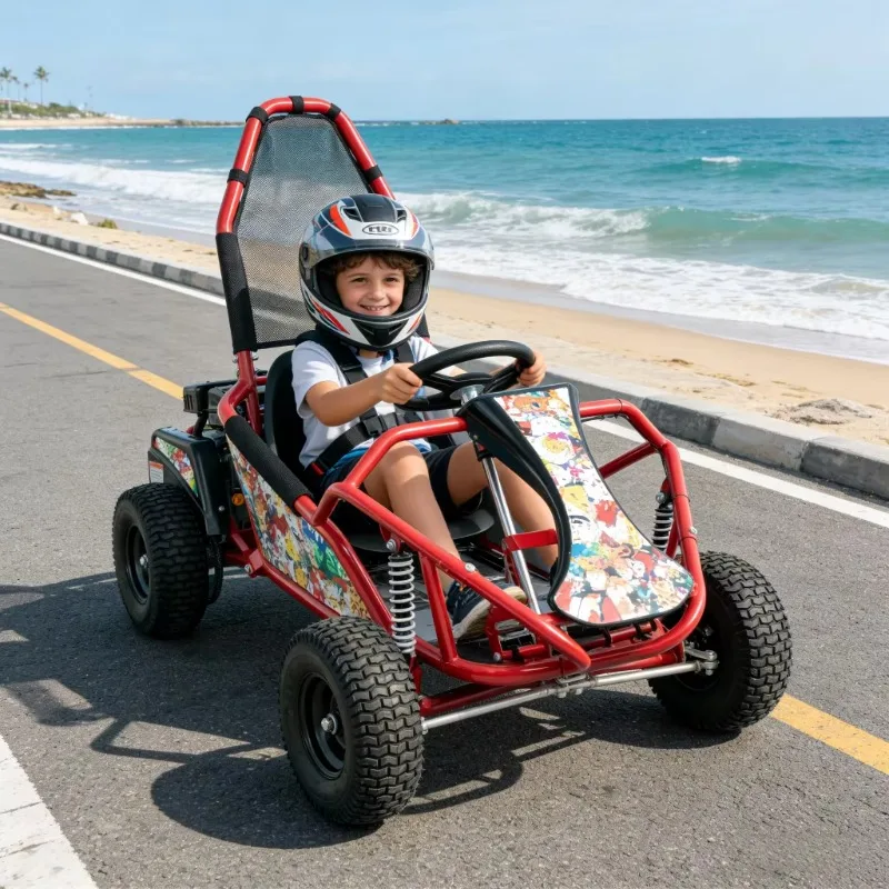 Customization Outdoor Playground Remote Adult-Ride-on Racing Kart with 25km/h Speed & 85kg Load Capacity