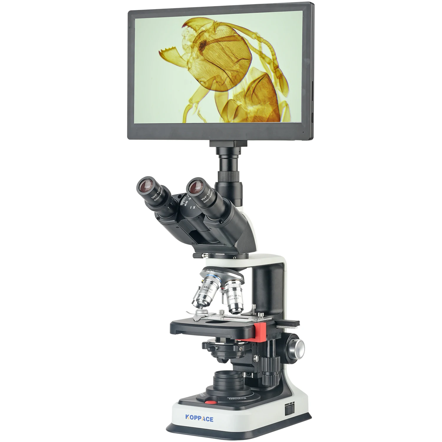 KOPPACE 40X-2500X Electron Compound Lab Microscope 2 Million Pixels 11.6 