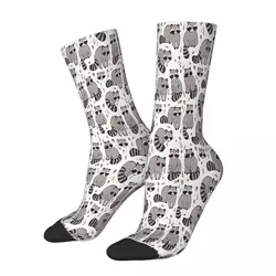 Illustration Raccoon Socks Male Mens Women Winter Stockings Polyester