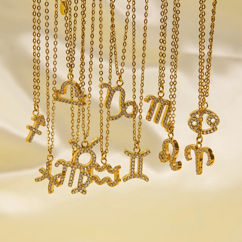 CARLIDANA Hochwertige Minimalistische Trendige Geometrische Edelstahl Vergoldete Zirkon 12 Sternzeichen Anhänger Choker Halskette für Frauen – Detail 5