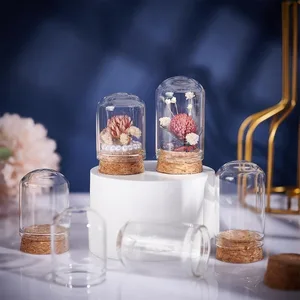 30 Bungkus Botol Toples Kaca 15ml Tampilan Kaca Botol Dekorasi Kubah Cloche 1. 5x1. 1 6 kubah glas penjualan terbaik - №