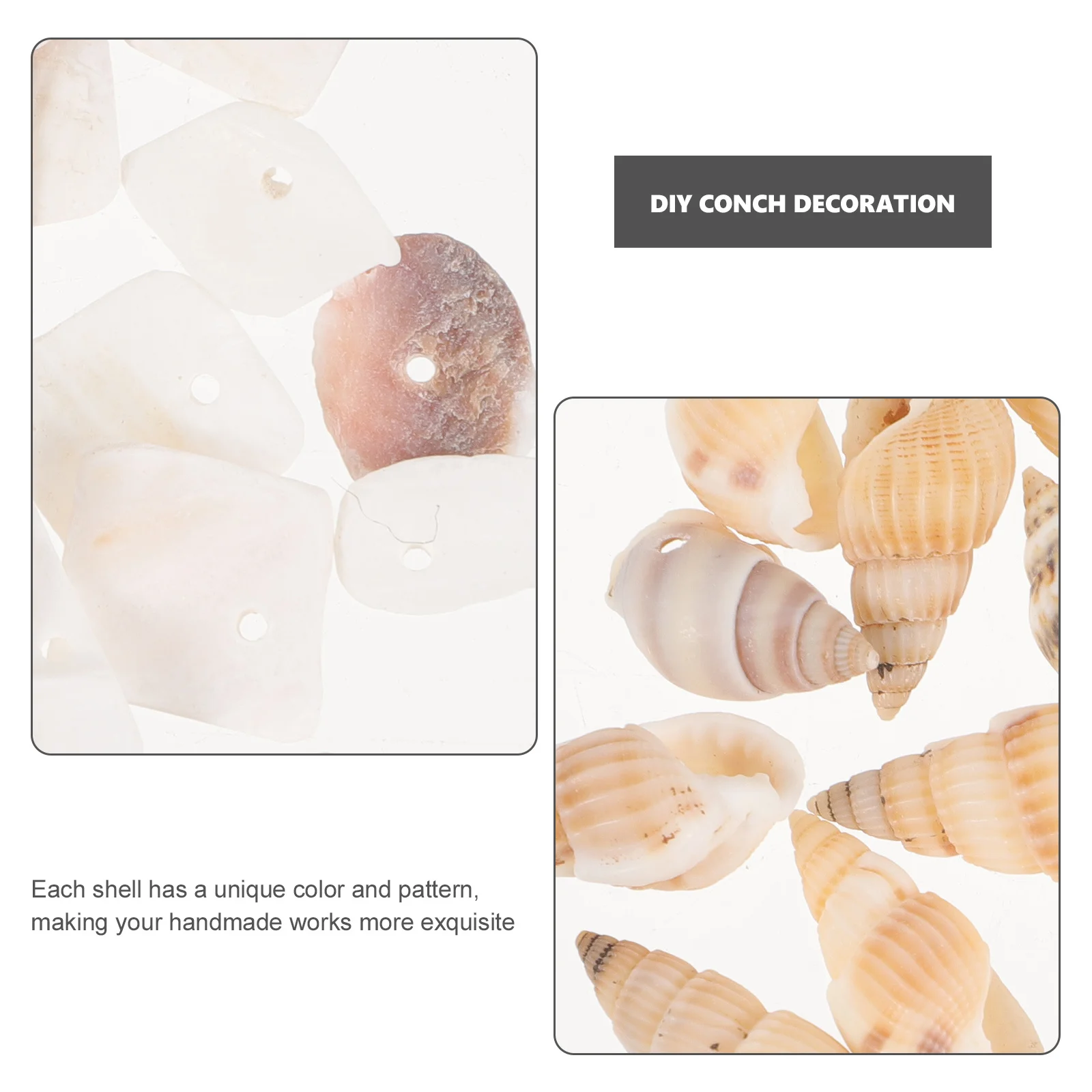 

Box of Small Shells Conch Natural Tiny Ocean Seashells for DIY Miniature Bracelet Necklace Accessories Aquarium Landscaping