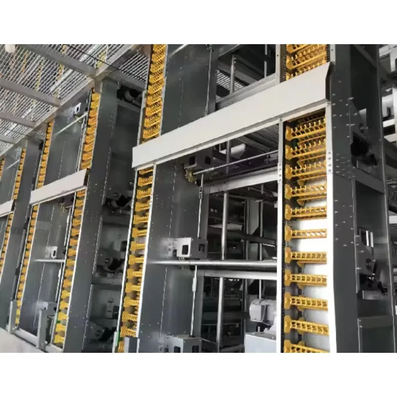 High Quality Automatic Chicken Cage System Chicken Cage for Layers Poultry Farming 10000 Chicken Egg Collecting System