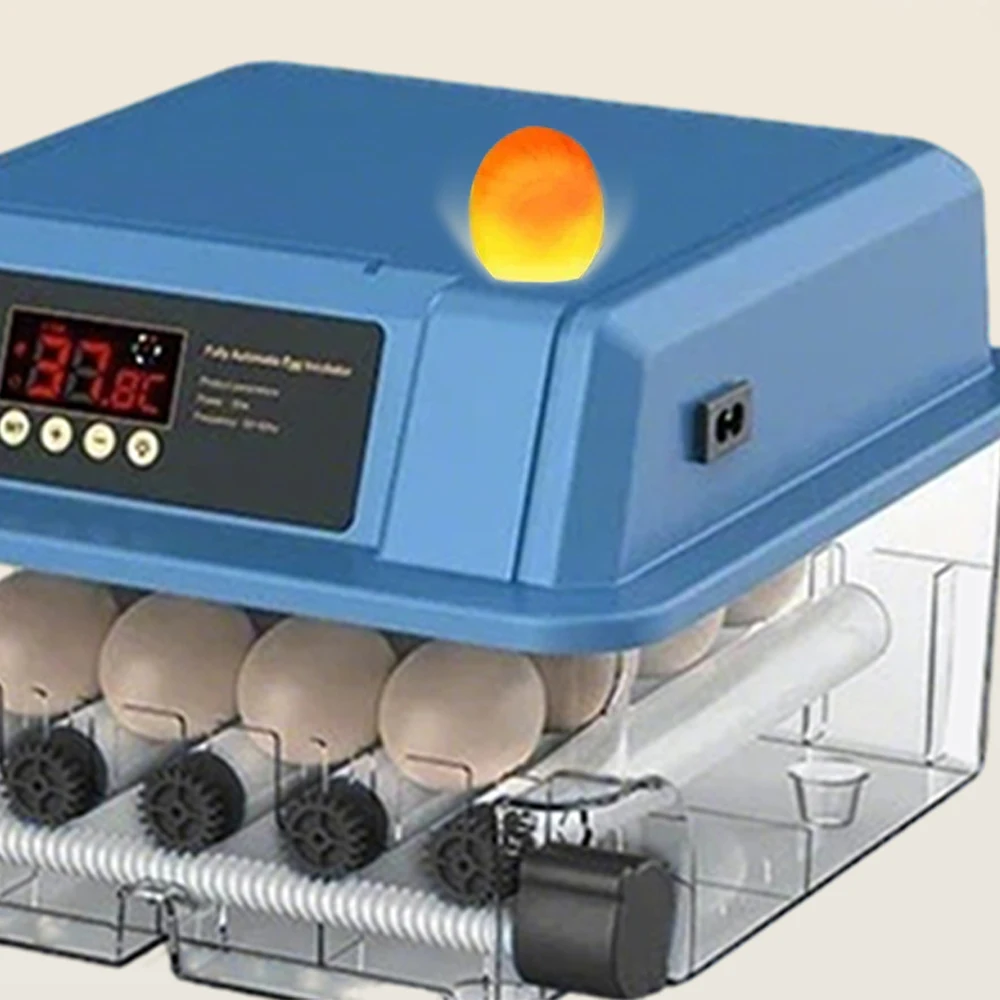 Incubateur automatique pour 12 à 24 œufs de poulet, canard et caille, double alimentation, retournement automatique et ajout d'eau avec lampe LED, machine d'éclosion pour élevage avicole