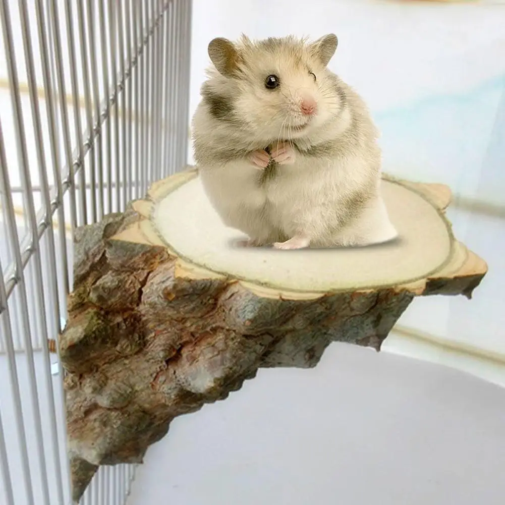 Pet Platform Right Angle Wood Perch Parrot Hamster Squirrel Bird Cage Playing Stand Jumping Board