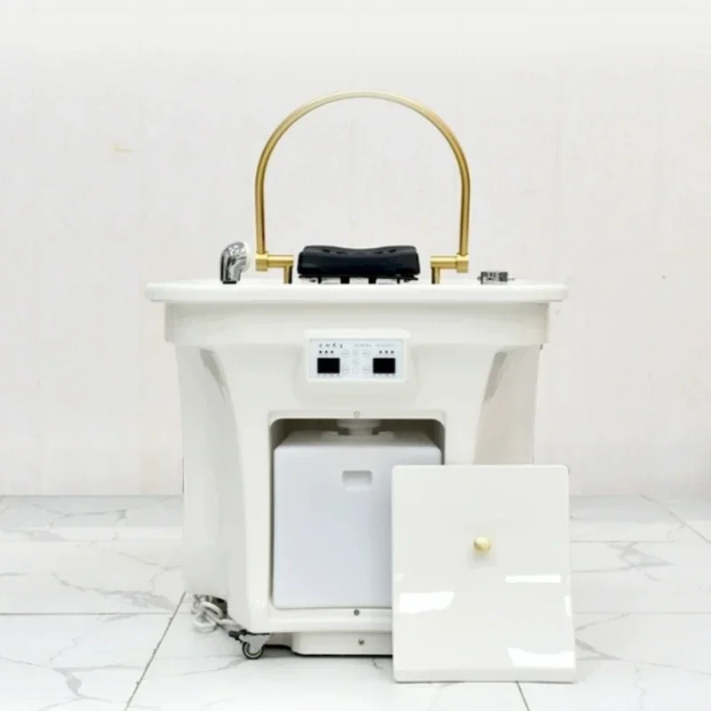 

Premium Salon Chair Washing Massage Portable Hair Spa Salon Chair Electric Beauty Sandalye Sedia Facial Furniture