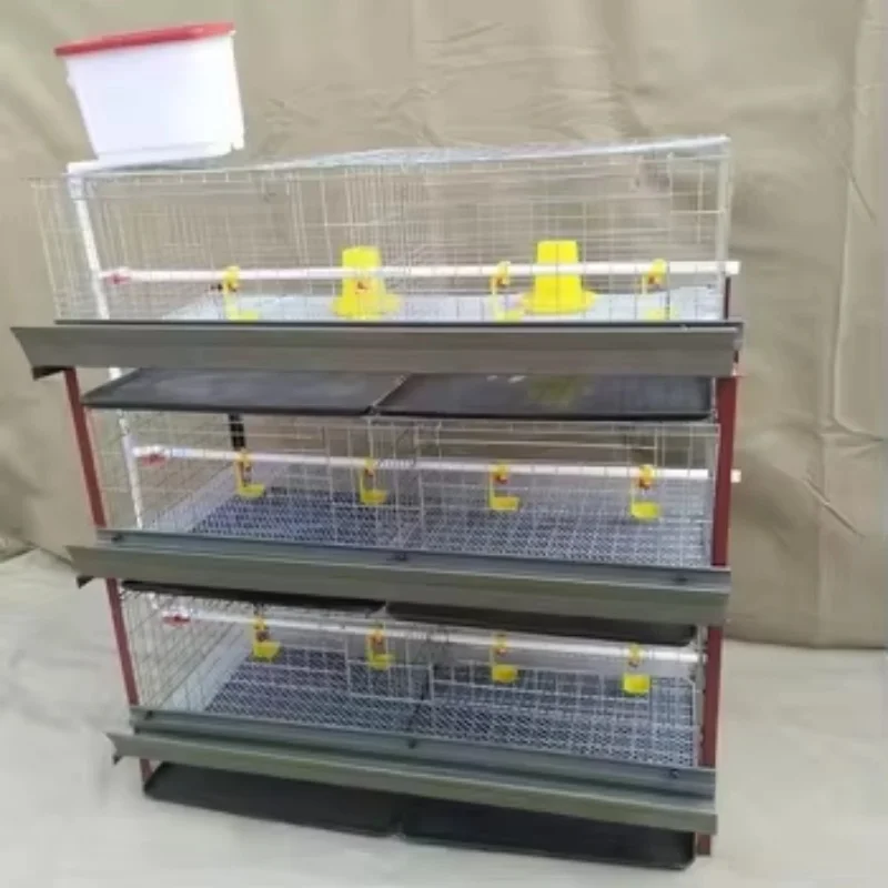 Equipment H-Type Poultry Broiler Cage 3 Floor 4 Floor Battery Chicken Cage Backyard Broiler Chicken Cage Design