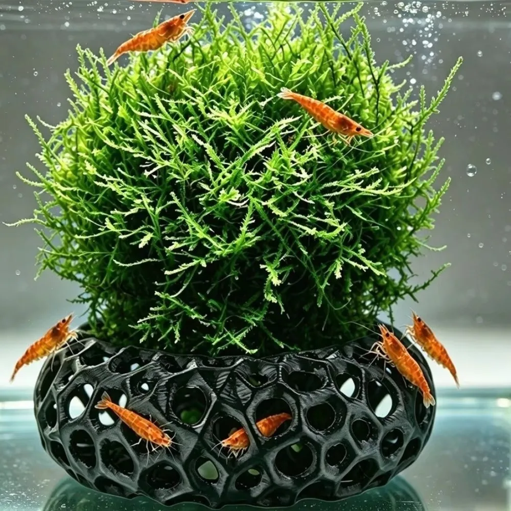 3D Printed Fish Shrimp Hiding Cave Porous Structure Plant Anchoring Aquarium Fish Shelter Hollow Round 3D Prin Fish Tank Cave