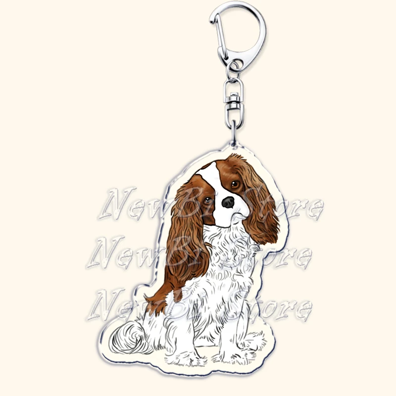 Thumbnail 4 - #39 Top Puppy Leads Picks for Every Budget