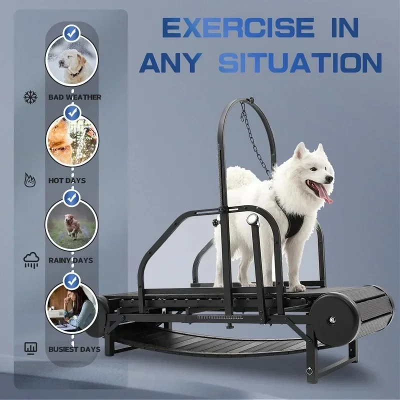 Dog Treadmill For Large Dogs: Indoor & Outdoor Canine Running Machine For Pet Health And Fitness, Doggy Exercise Equipment