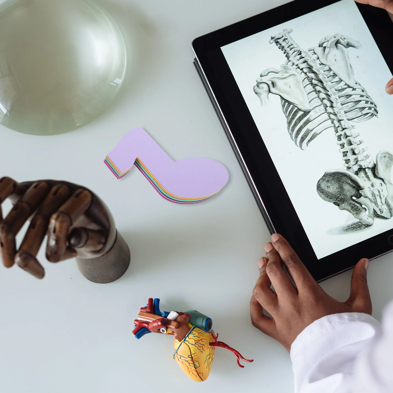 

72 Pcs Musical Note Paper Cutouts Delicate Wall Decorations Colorful Classroom Nursery DIY Crafts Home Decoration Art