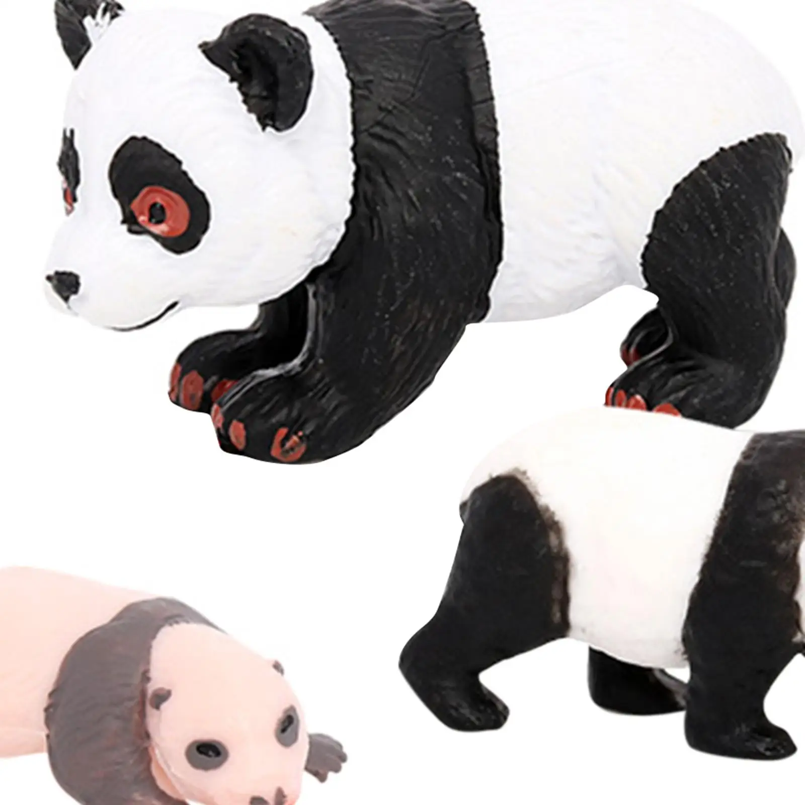 4 Stück Panda Tier Lebenszyklus Modell, Klassen zimmer Zubehör, Lernspiel zeug, früh