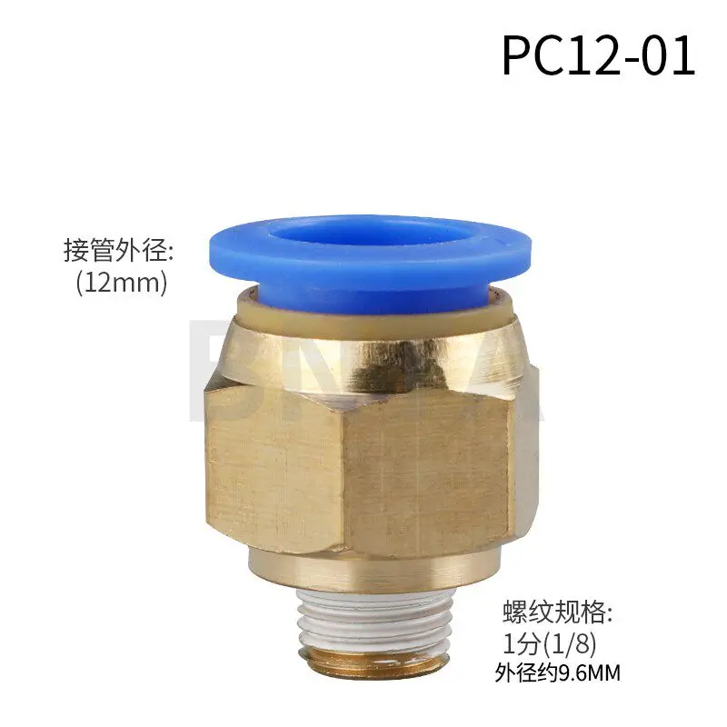 Variant: PC12  01