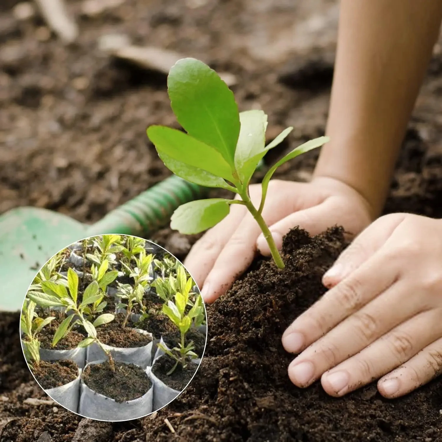 Bolsa de vivero biodegradable, bolsas de cultivo de plantas, semillas de tela no tejida para sembrar macetas para el hogar, accesorios de jardín, herramientas, 100 Uds.