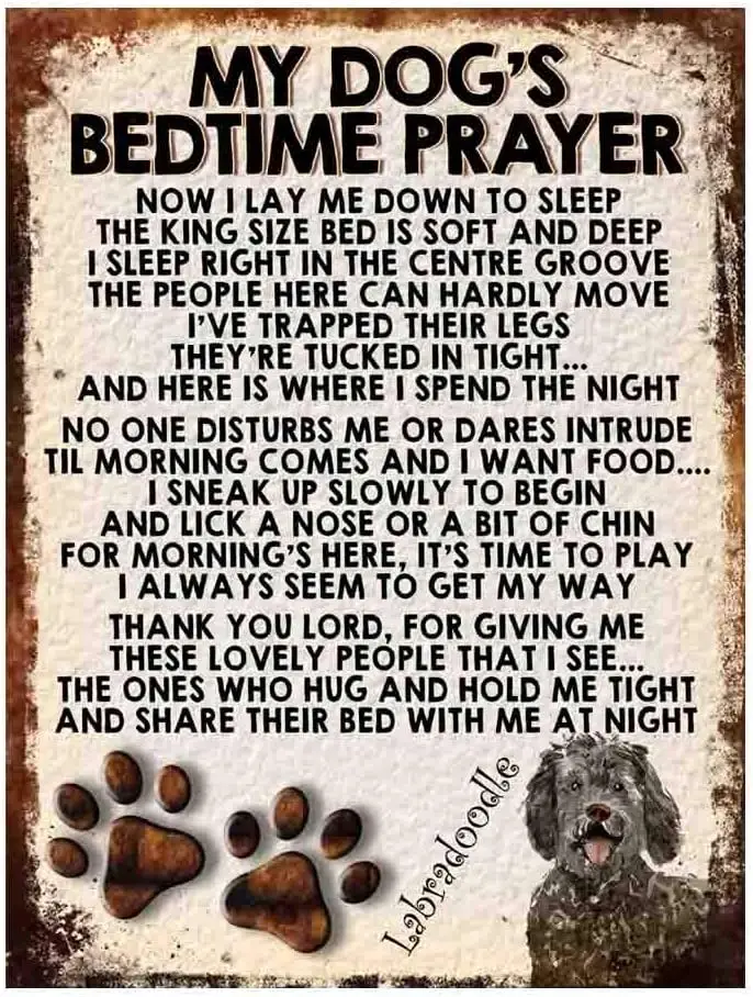 My Dog;s Bedtime Prayer Retro Style Metal TIN Sign/Plaque, Labradoodle, 4