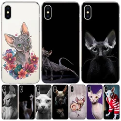 Lavaza Sphynx Sphinx Cat Case for iPhone 12 13 Mini 14 Plus 15 16 Pro Max 11 X XS Max Clear TPU Protective Phone Cover