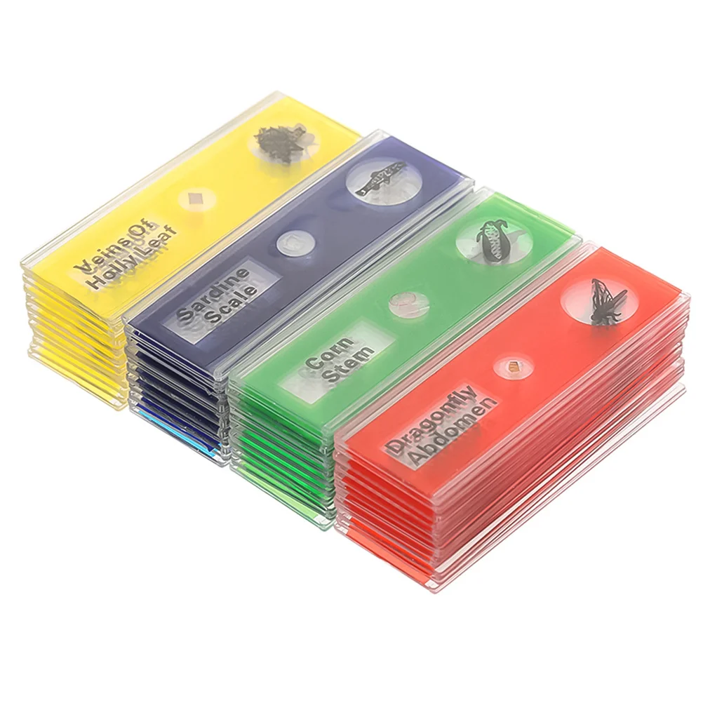 

24Pcs Biological Slides Plastic Prepared Specimens Set Marked Names Microscope Educational Green Plant Sample for Kids Science