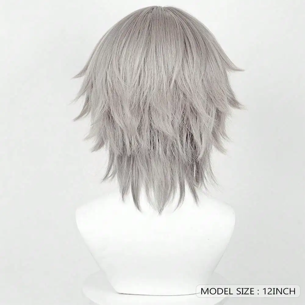 Synthetic Wigs Short Straight Grey Wigs with Bangs For Man Cosplay Eryuan Game Anime Wear Fake Hair High Temperature Fiber