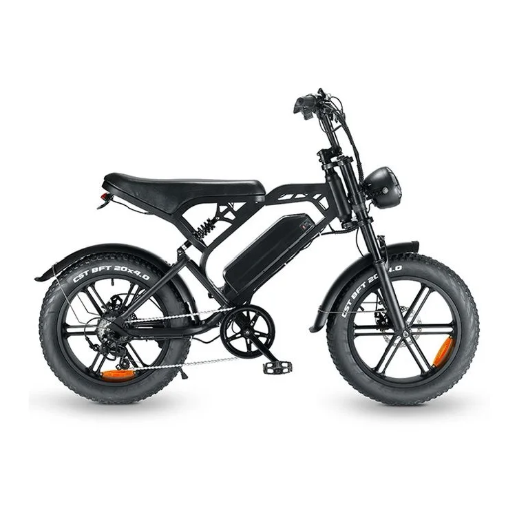 Tamobyke High Power 20inch Fat Tire E-Bike 48V 750W Dual Motor Electric Bike Mountain Electric Bicycles