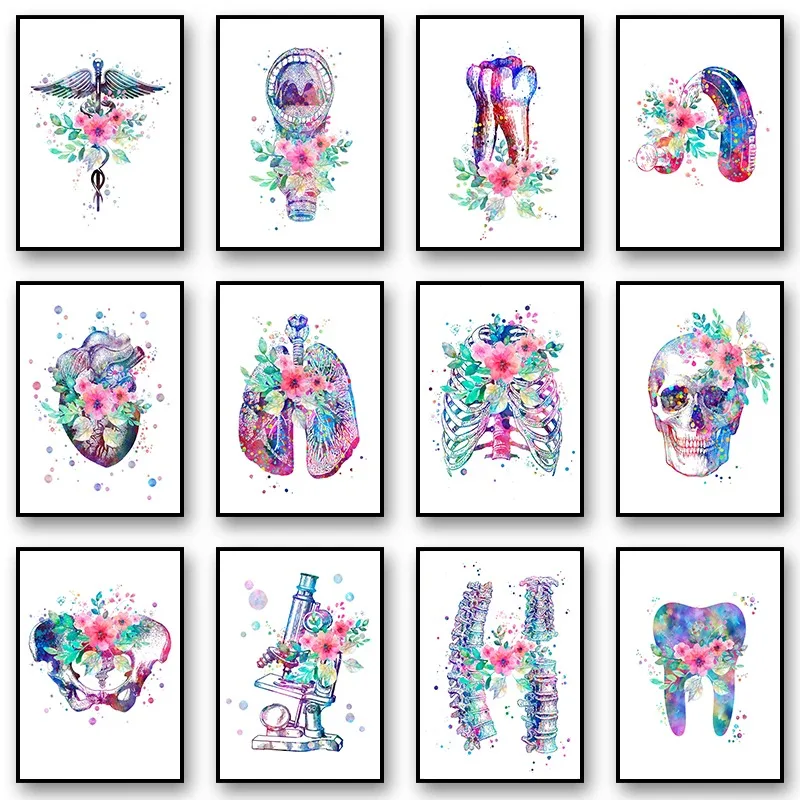 Medical Human Anato…