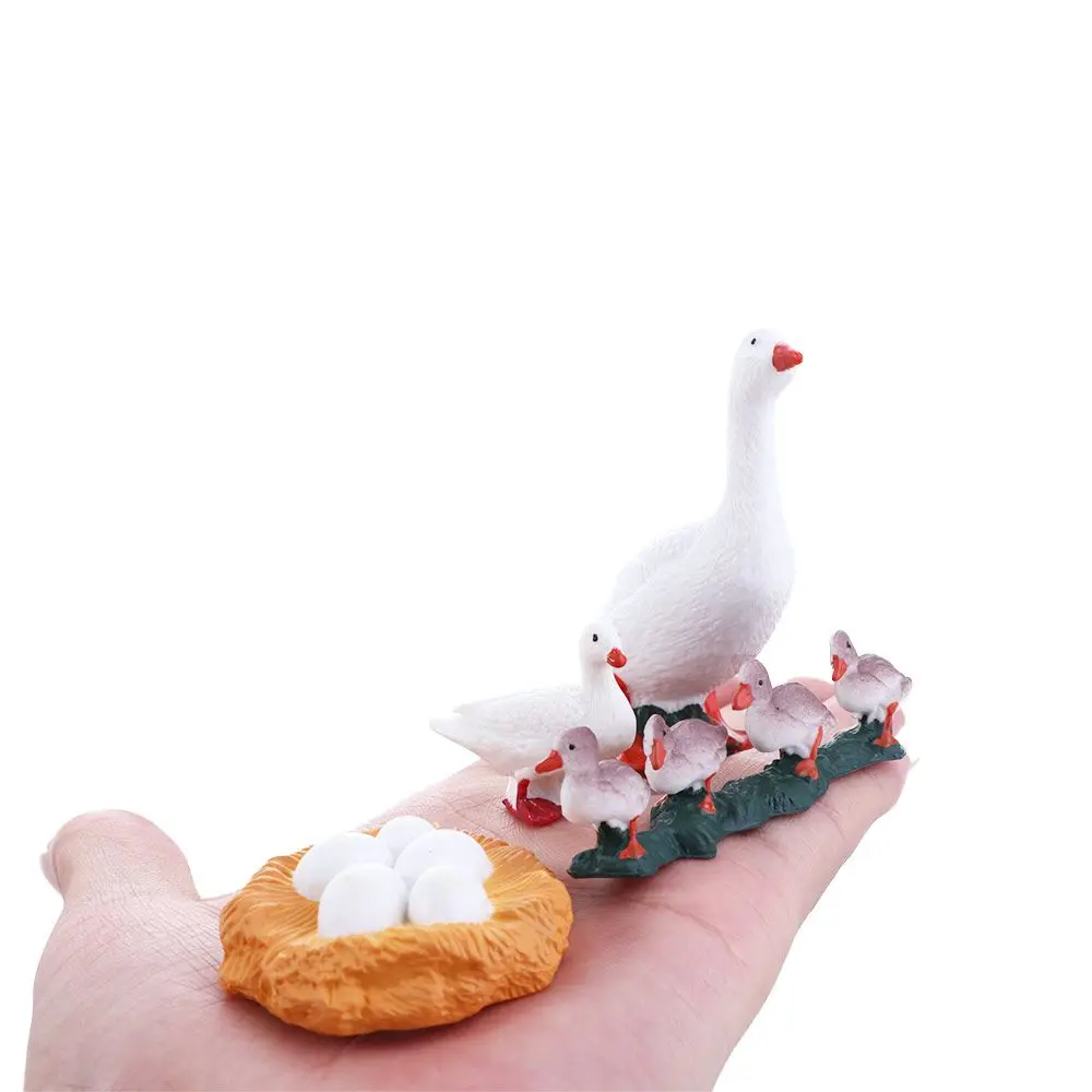 

4pcs/set Gifts Educational Hen Cock Swan Model White Goose Growth Cycle Simulation Life Cycle Figures Cycle Duck Figurine