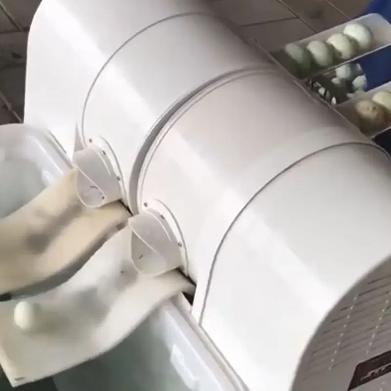 

Чистка грязного утиного яйца, стиральная машина для птицы, экологически чистая пластиковая щетка для тела, машина для мытья яиц