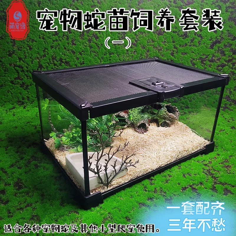 

Набор для кормления змей для домашних животных, ящик для рептилий, ландшафтный дизайн аквариума с тропическим лесом, фиолетовая черепаха, ящерица скорпион, рассадка змеи для хранения дворца