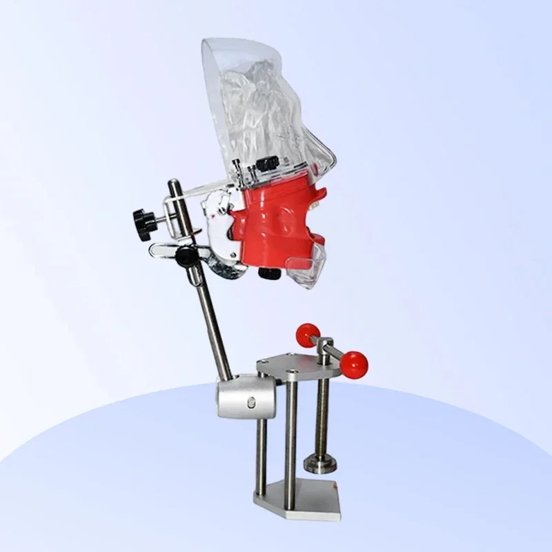 Set Ready Stock Teeth Model Exercise Simulator Dental Phantom Head with Bench Mount