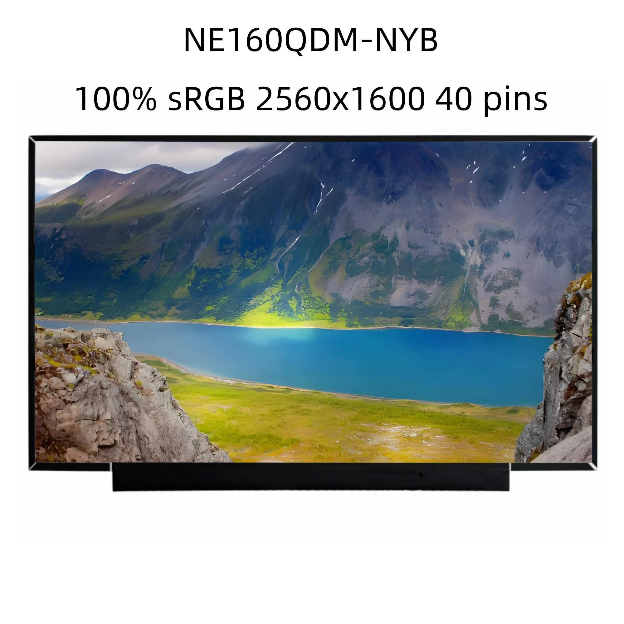 

NE160QDM-NYB 2560x1600 100% sRGB 165Hz eDP 40 Pin 16.0 Inch IPS Replacement Display Laptop LCD Screen