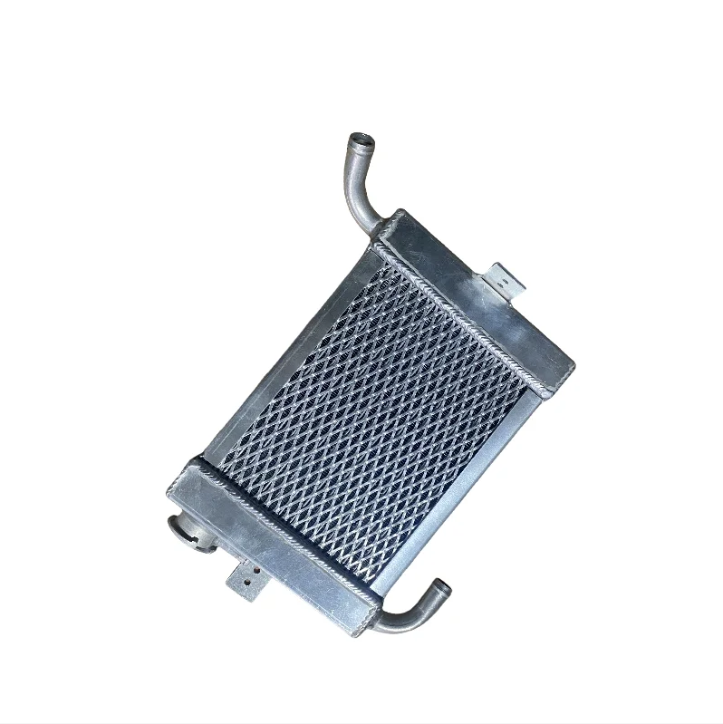 

Customized Non-standard, High-quality Aluminum Motorcycle Cooling System Water Radiator