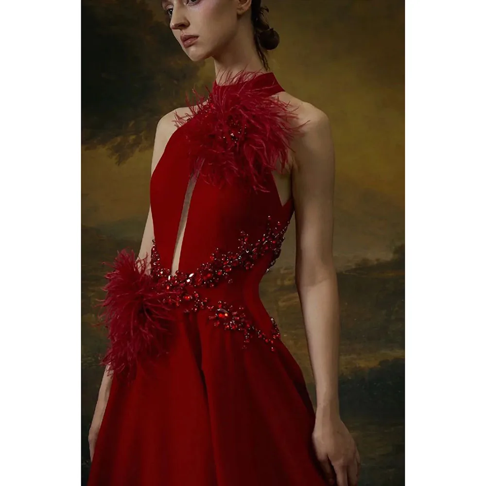 Robe de Soirée en Plumes et Clip pour Occasions Spéciales, Tenue de Bal de Standing, Longue et Exquise, avec Traîne à Balayage et Col Haut, Quelle que soit la Collection 2024