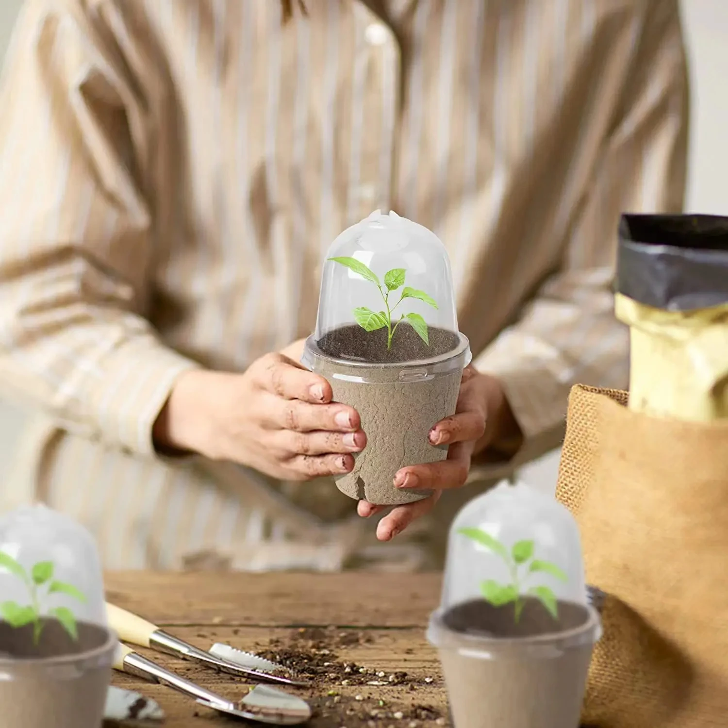 Seed Starter Biodegradable peat POTS, seedling planting POTS with labels, plant POTS with humidity domes