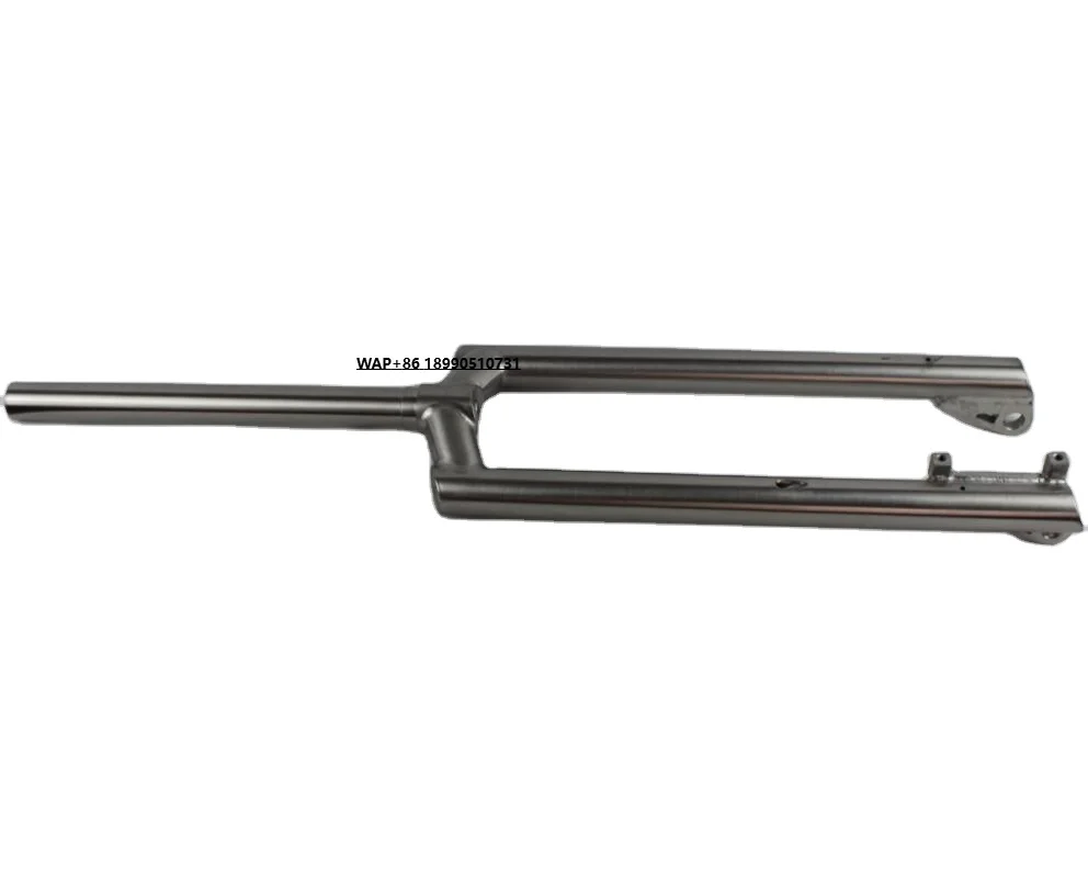

Chinese Titanium Bicycle Fork with IS Brake Mount
