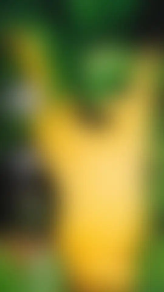 

4pcs RC Car Duty 1.9" Blade Beadlock Wheel Rim Hub for 1/10 RC Crawler Axial SCX10 Trxs TRX4 RC4WD D90 Redcat Gen