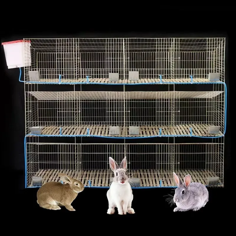 Commercial 4-Door 3-Layer Rabbit Breeding Cages Hot Dip Galvanizing New Commercial Rabbit Breeding Cages for Animal Supplies