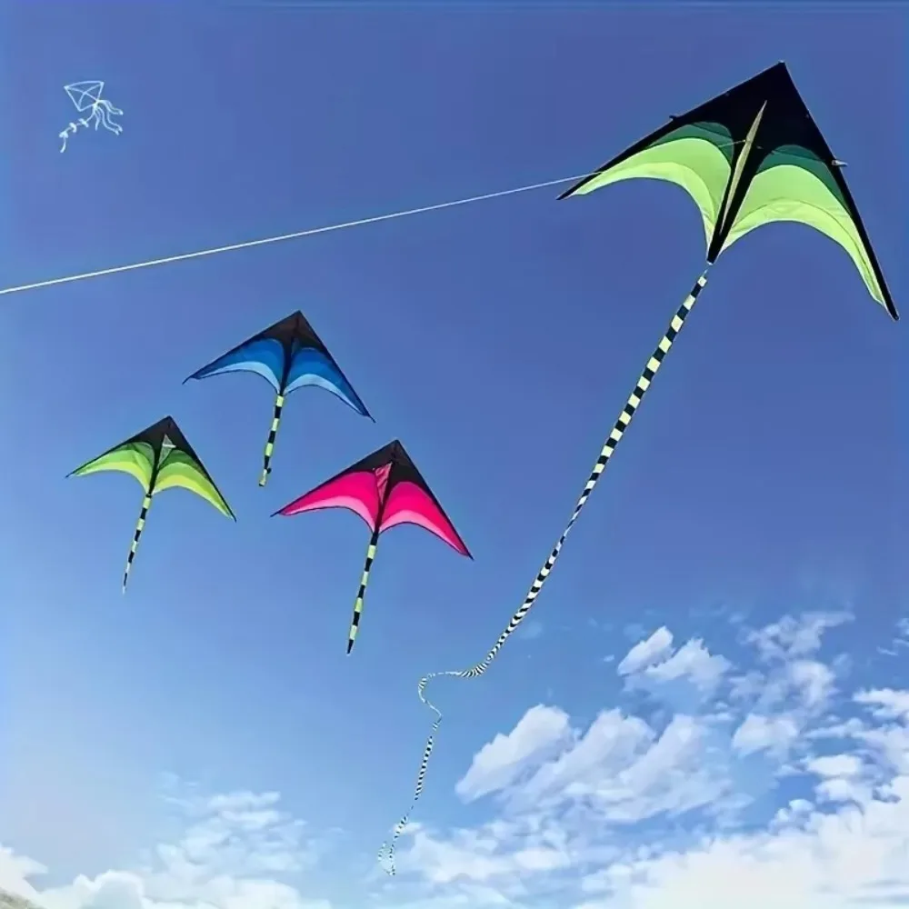 Nieuwe Easy Fly 1,6 m grote Delta Kite lange staart ripstop regenboogvlieger met 100 m vliegerlijn goede vlieger leuke sport