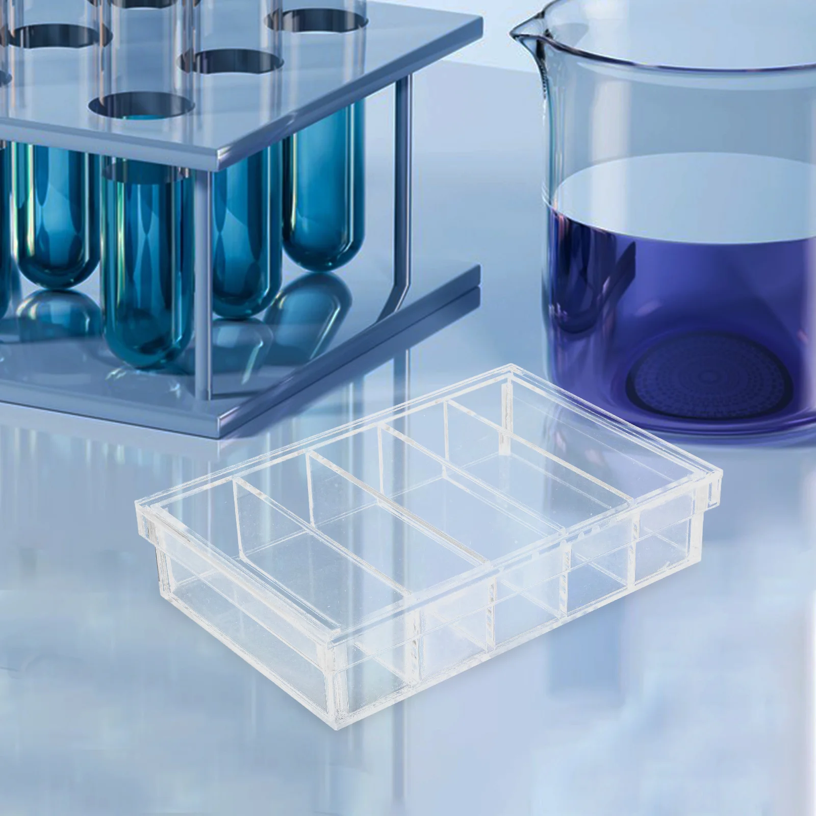 Transparent Acrylic Incubation Box 5-Compartment Reptile Breeding Container For Fish Snake Turtle Hatching Lab Petri Dish