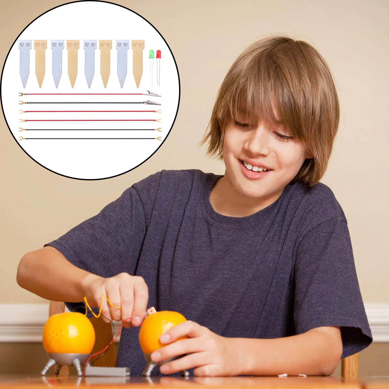 

2Sets Fruit Experiment Kit Science Educational Set for Kids Hands-on Physics Project with LED Learning Activity Supplies