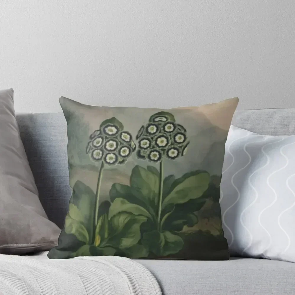 Botanical Auriculas Throw Pillow ornamental pillows for living room Bed pillowcases Cushions Cover pillow