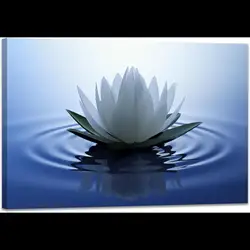 White Lotus Wall Art Canvas Print Spiritual Meditation Poster for Yoga Room Bathroom Zen Spa Framed Ready to Hang x Inch