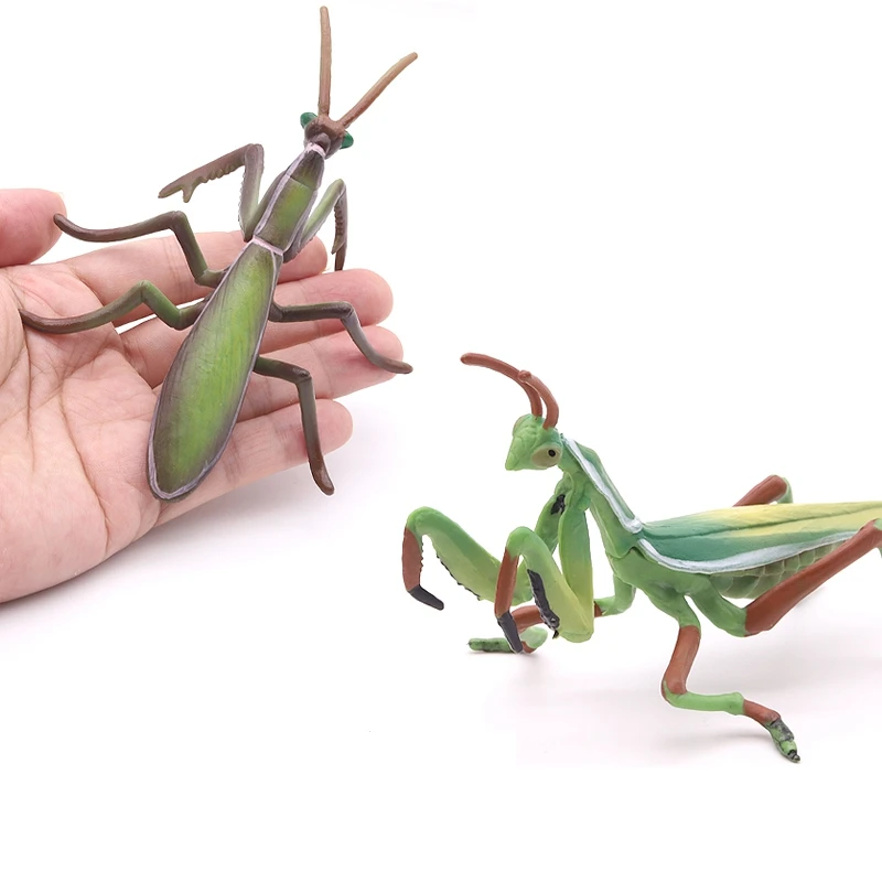 Modèle de simulation réaliste de mante religieuse, insecte décoratif pour la maison
