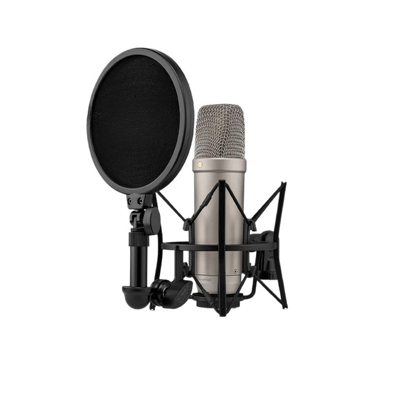 Microphone Fifth Generation Condenser Large Diaphragm Microphone Recording Studio