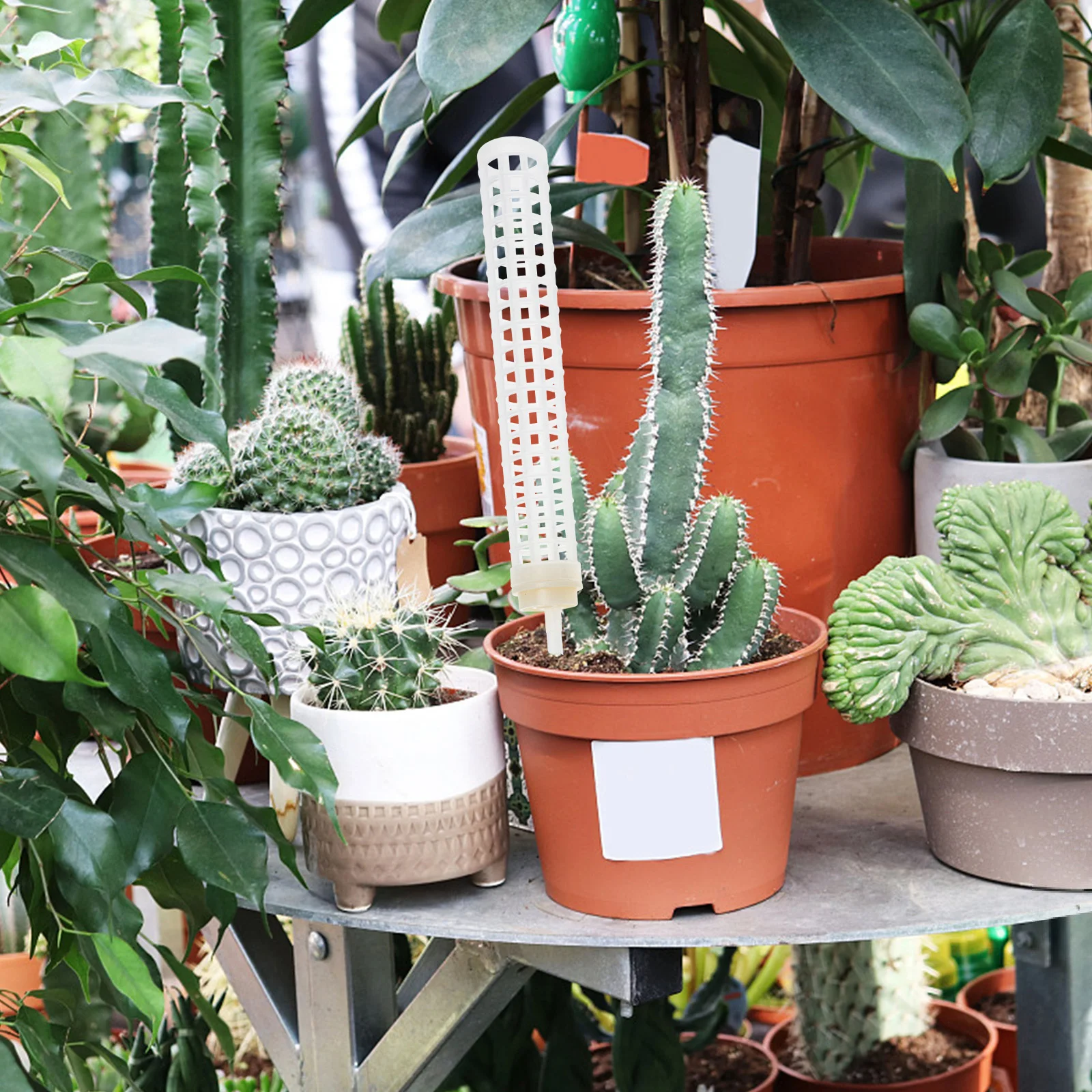 2 set Garden Plant Climbing Column 2 Sets With Labels Support For Climbing Plants Potted Trellis Vegetable Cage Stand Indoor